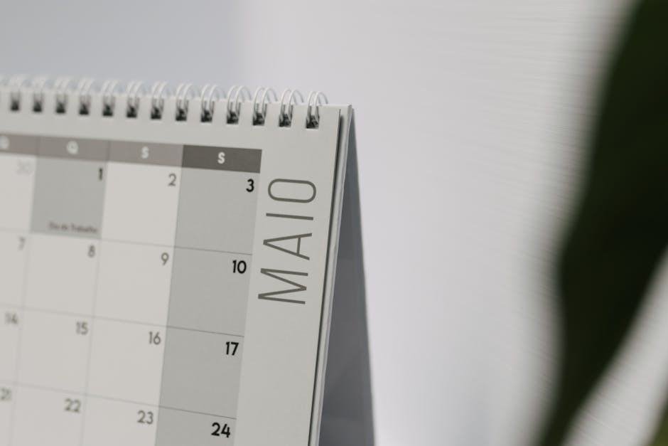 Greffe de cheveux 6 mois apres : chronologie de la repousse