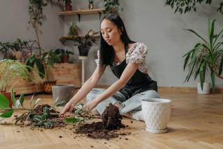 Wayne Rooney et ses cheveux : l'implant capillaire de la star